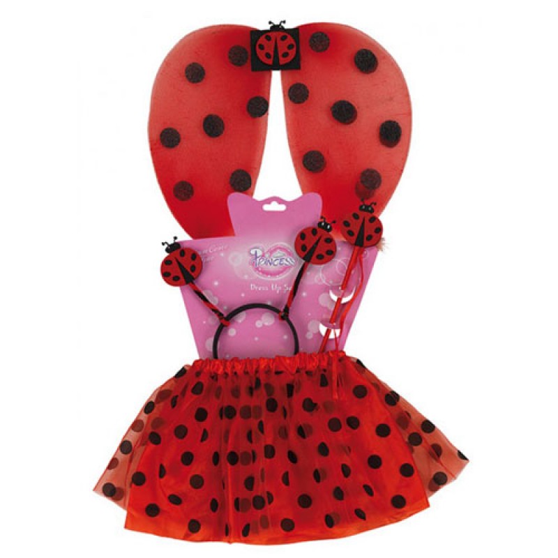 Ladybug Dress-up Set